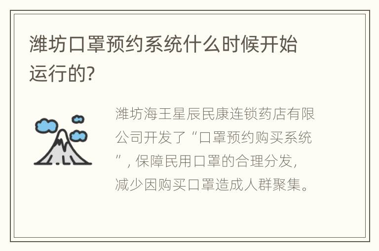 潍坊口罩预约系统什么时候开始运行的？