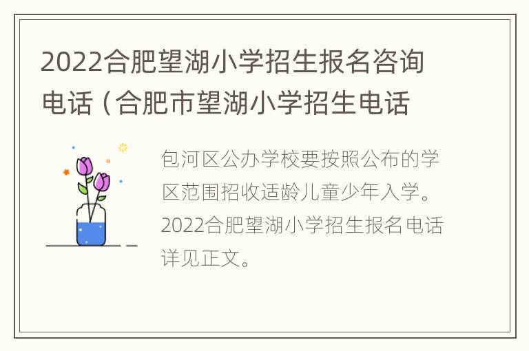 2022合肥望湖小学招生报名咨询电话（合肥市望湖小学招生电话）