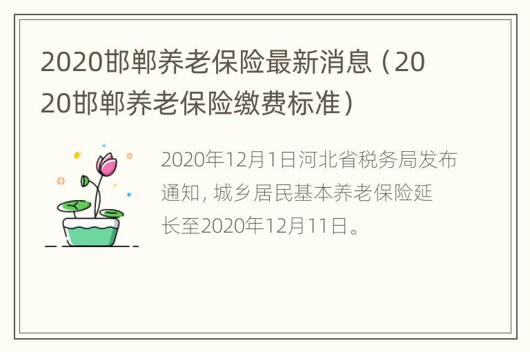 2020邯郸养老保险最新消息（2020邯郸养老保险缴费标准）