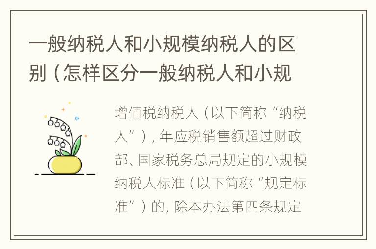 一般纳税人和小规模纳税人的区别（怎样区分一般纳税人和小规模纳税人的区别）