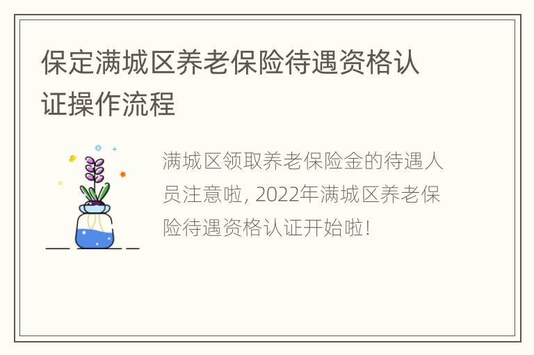 保定满城区养老保险待遇资格认证操作流程