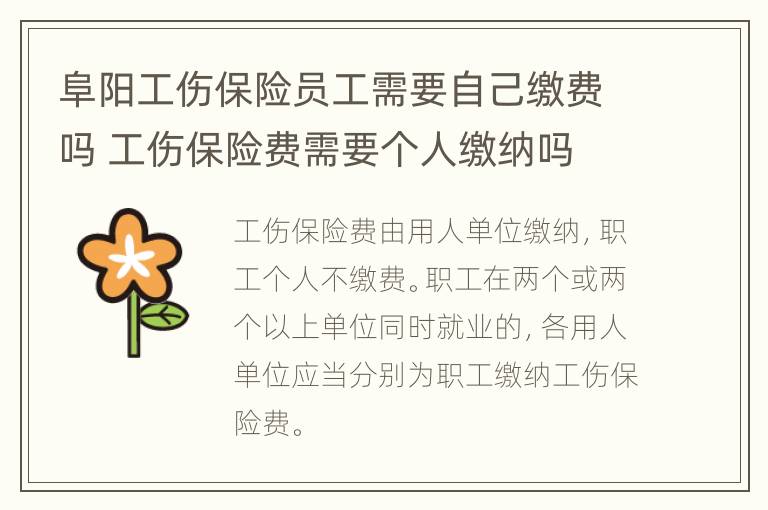 阜阳工伤保险员工需要自己缴费吗 工伤保险费需要个人缴纳吗