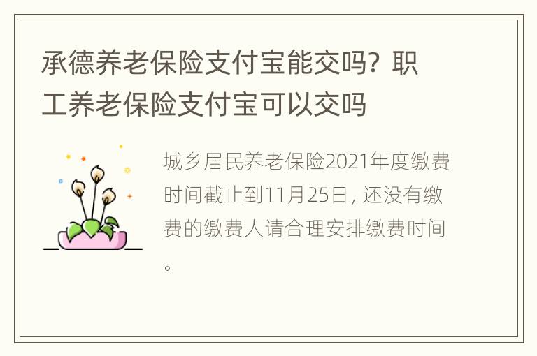 承德养老保险支付宝能交吗？ 职工养老保险支付宝可以交吗