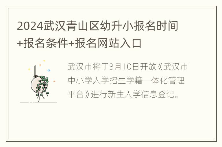 2024武汉青山区幼升小报名时间+报名条件+报名网站入口