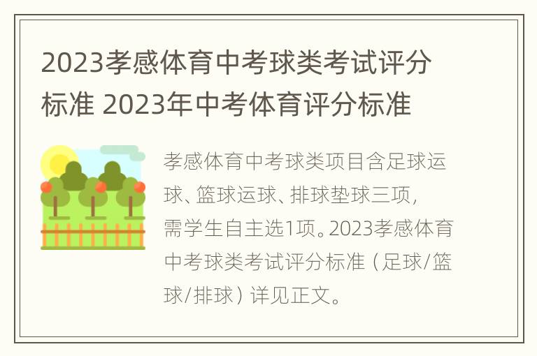 2023孝感体育中考球类考试评分标准 2023年中考体育评分标准