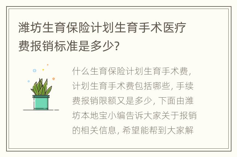 潍坊生育保险计划生育手术医疗费报销标准是多少？