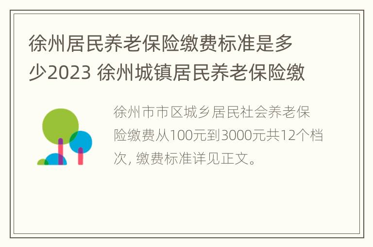 徐州居民养老保险缴费标准是多少2023 徐州城镇居民养老保险缴费标准