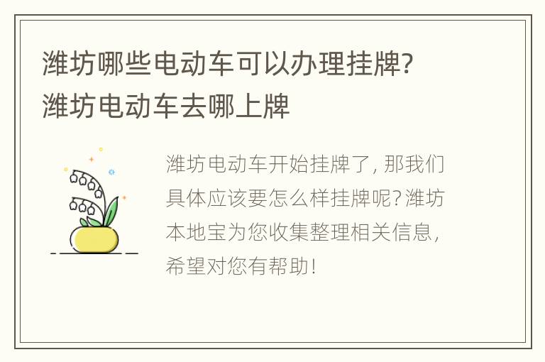 潍坊哪些电动车可以办理挂牌? 潍坊电动车去哪上牌