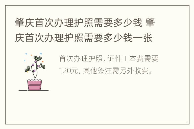 肇庆首次办理护照需要多少钱 肇庆首次办理护照需要多少钱一张