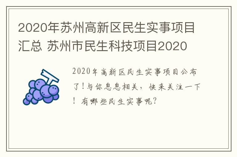 2020年苏州高新区民生实事项目汇总 苏州市民生科技项目2020