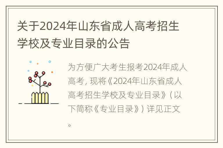 关于2024年山东省成人高考招生学校及专业目录的公告