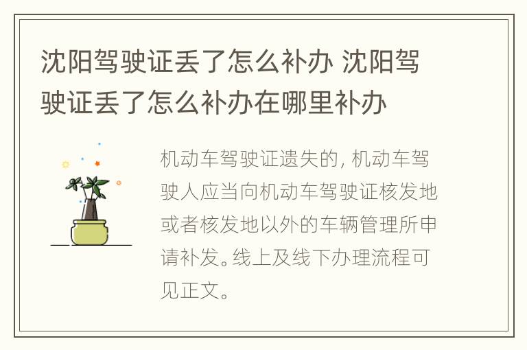 沈阳驾驶证丢了怎么补办 沈阳驾驶证丢了怎么补办在哪里补办