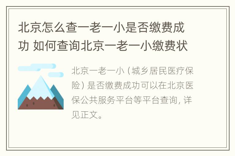 北京怎么查一老一小是否缴费成功 如何查询北京一老一小缴费状态