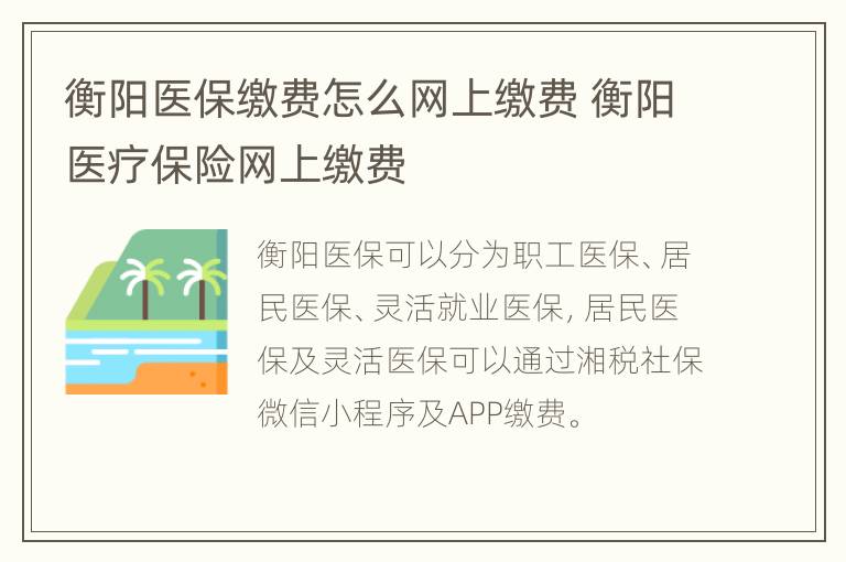 衡阳医保缴费怎么网上缴费 衡阳医疗保险网上缴费