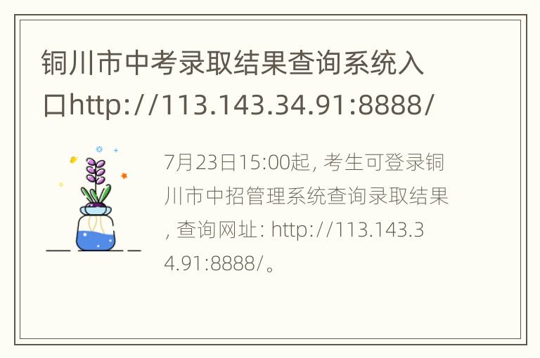 铜川市中考录取结果查询系统入口http://113.143.34.91:8888/