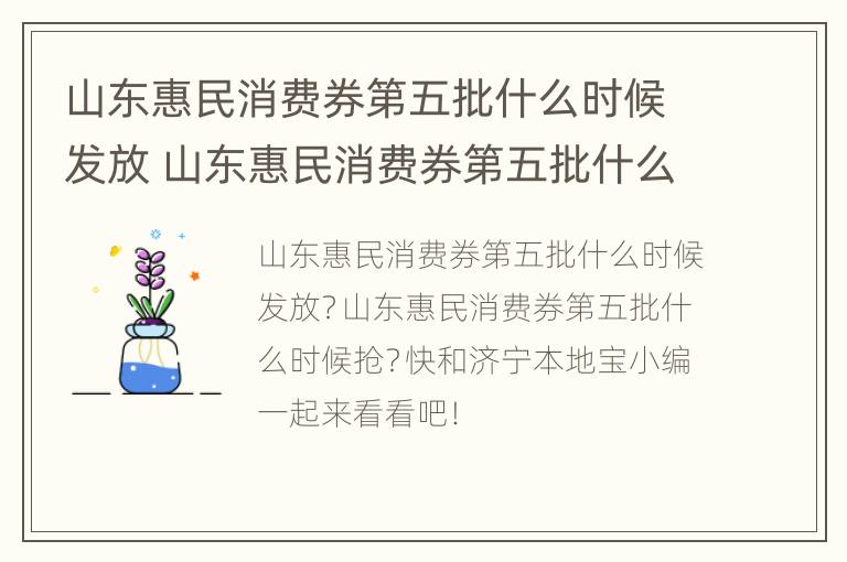 山东惠民消费券第五批什么时候发放 山东惠民消费券第五批什么时候发放的