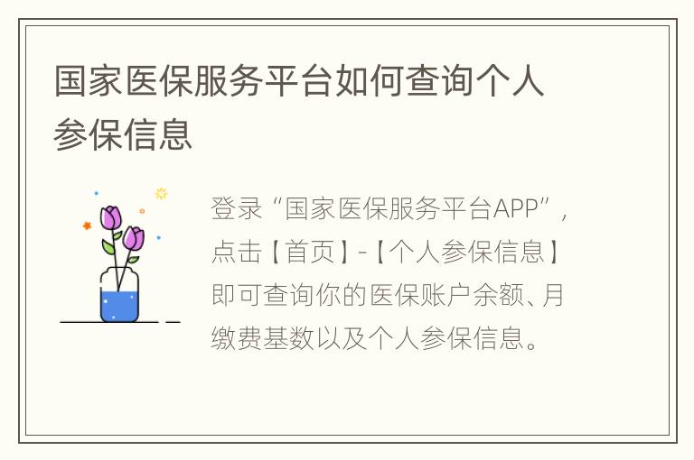 国家医保服务平台如何查询个人参保信息