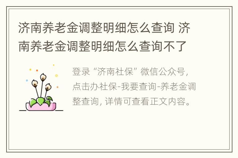 济南养老金调整明细怎么查询 济南养老金调整明细怎么查询不了