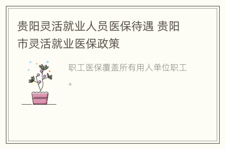 贵阳灵活就业人员医保待遇 贵阳市灵活就业医保政策