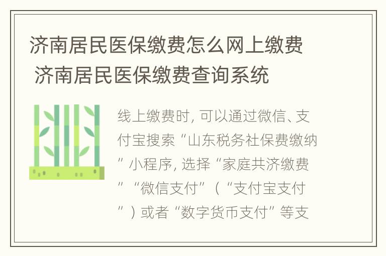 济南居民医保缴费怎么网上缴费 济南居民医保缴费查询系统