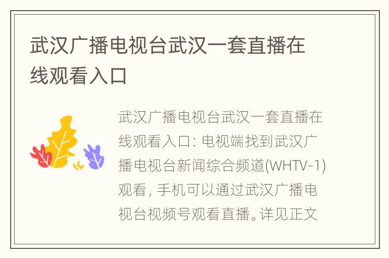 武汉广播电视台武汉一套直播在线观看入口