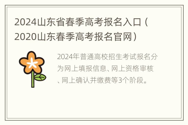 2024山东省春季高考报名入口（2020山东春季高考报名官网）