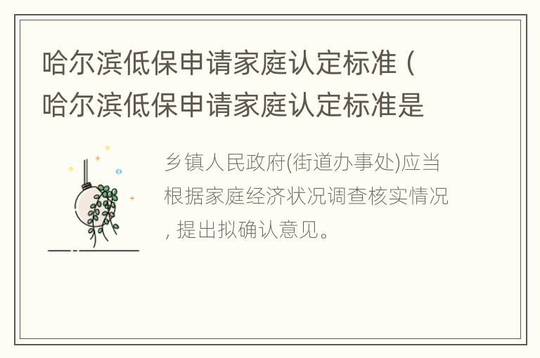 哈尔滨低保申请家庭认定标准（哈尔滨低保申请家庭认定标准是什么）