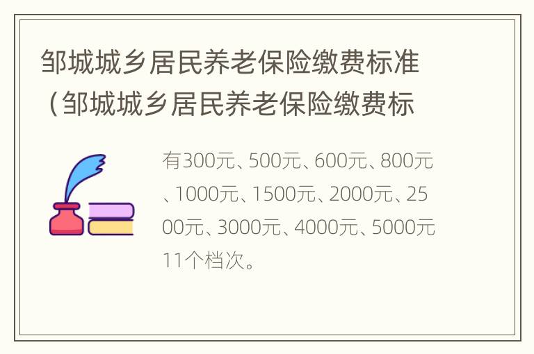 邹城城乡居民养老保险缴费标准（邹城城乡居民养老保险缴费标准查询）