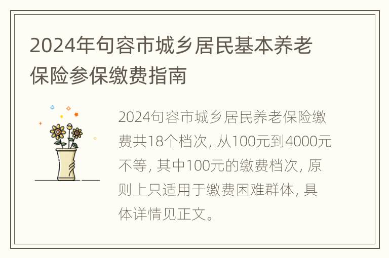 2024年句容市城乡居民基本养老保险参保缴费指南