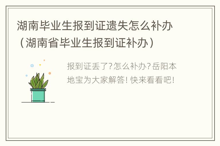 湖南毕业生报到证遗失怎么补办（湖南省毕业生报到证补办）