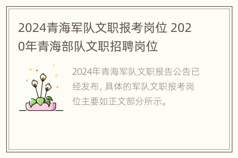 2024青海军队文职报考岗位 2020年青海部队文职招聘岗位