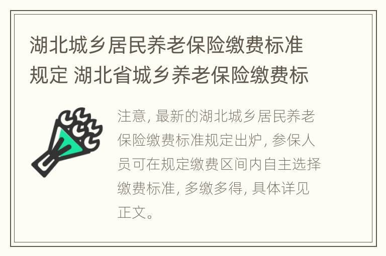 湖北城乡居民养老保险缴费标准规定 湖北省城乡养老保险缴费标准