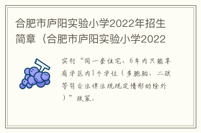 合肥市庐阳实验小学2022年招生简章（合肥市庐阳实验小学2022年招生简章视频）