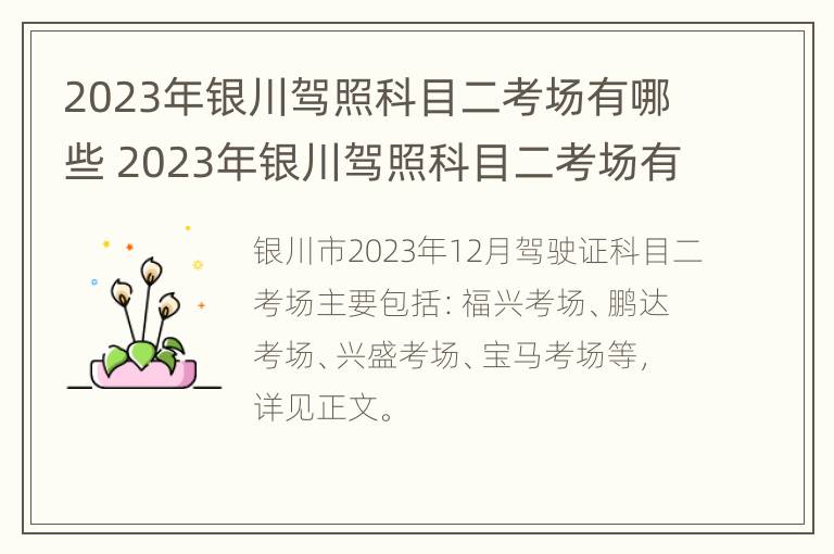 2023年银川驾照科目二考场有哪些 2023年银川驾照科目二考场有哪些项目