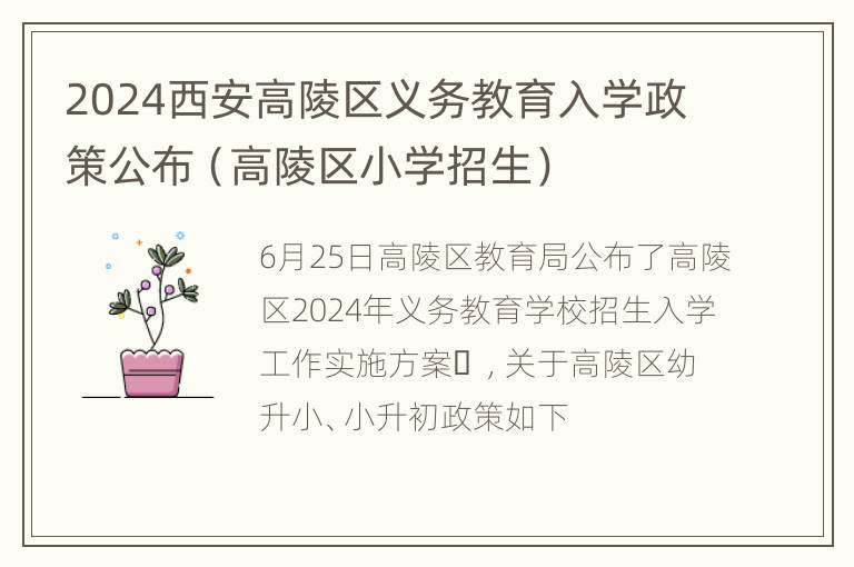 2024西安高陵区义务教育入学政策公布（高陵区小学招生）