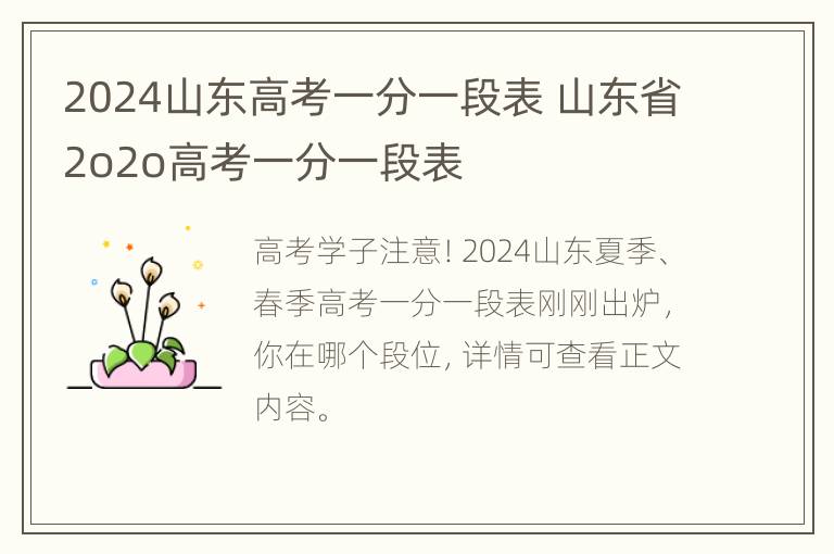 2024山东高考一分一段表 山东省2o2o高考一分一段表