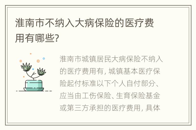 淮南市不纳入大病保险的医疗费用有哪些？