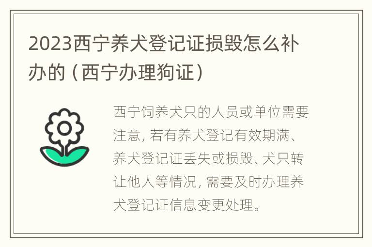 2023西宁养犬登记证损毁怎么补办的（西宁办理狗证）