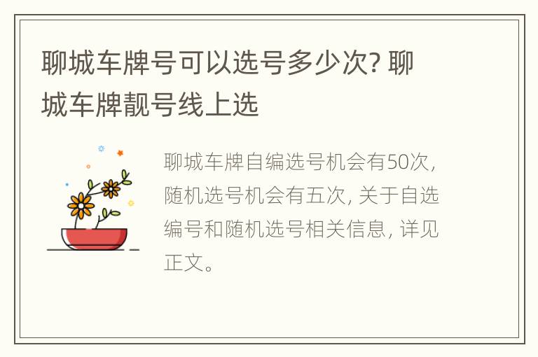 聊城车牌号可以选号多少次? 聊城车牌靓号线上选