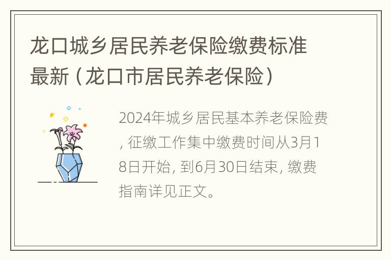 龙口城乡居民养老保险缴费标准最新（龙口市居民养老保险）