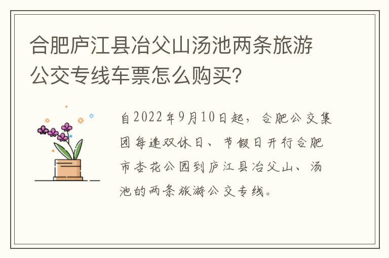 合肥庐江县冶父山汤池两条旅游公交专线车票怎么购买？