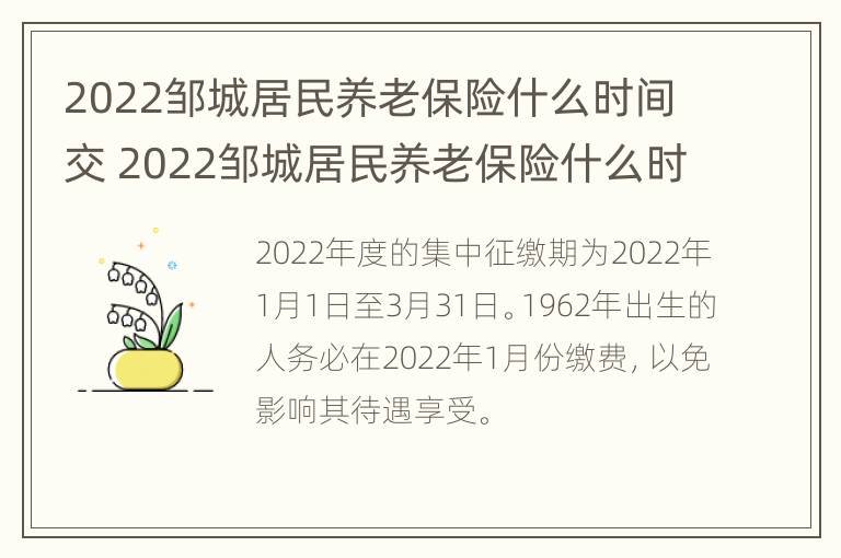 2022邹城居民养老保险什么时间交 2022邹城居民养老保险什么时间交的