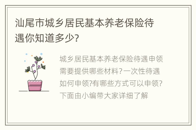 汕尾市城乡居民基本养老保险待遇你知道多少？