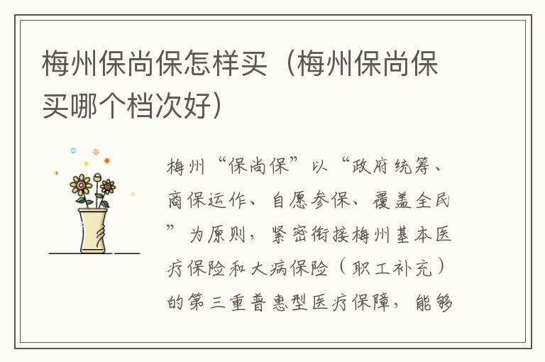 梅州保尚保怎样买（梅州保尚保买哪个档次好）