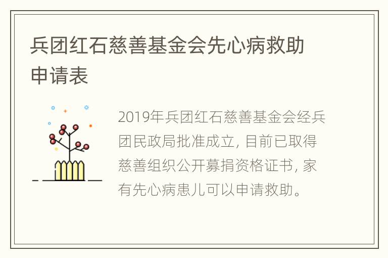 兵团红石慈善基金会先心病救助申请表