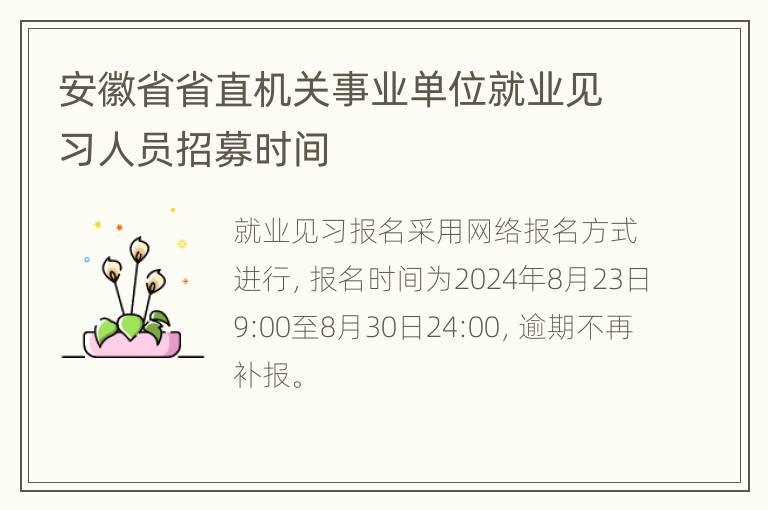 安徽省省直机关事业单位就业见习人员招募时间