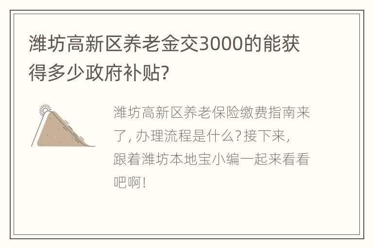 潍坊高新区养老金交3000的能获得多少政府补贴？