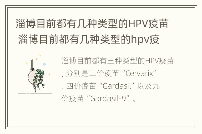 淄博目前都有几种类型的HPV疫苗 淄博目前都有几种类型的hpv疫苗打