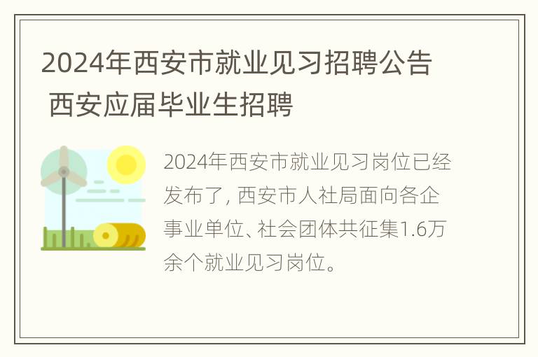 2024年西安市就业见习招聘公告 西安应届毕业生招聘