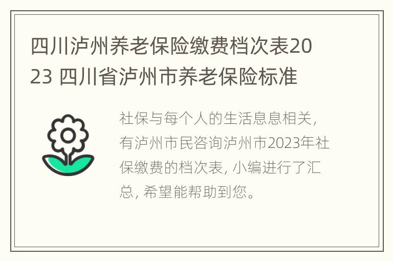 四川泸州养老保险缴费档次表2023 四川省泸州市养老保险标准